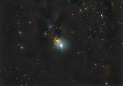 NGC 1333 Embryonebel