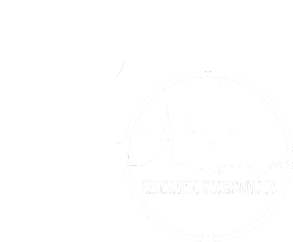 20 Jahre Sternenfreunde Logo