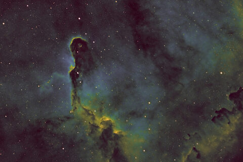 IC 1396A Elefantenrüsselnebel