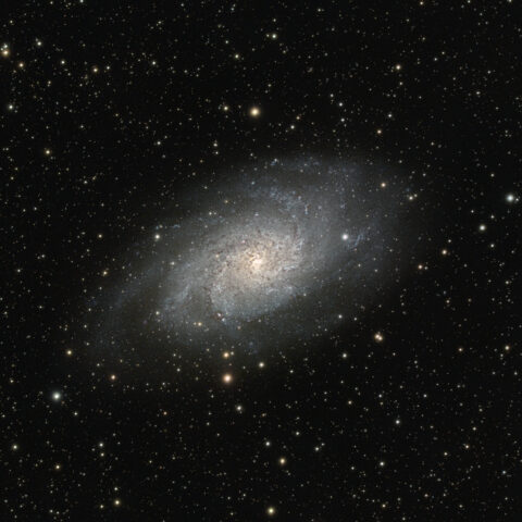 M33 Triangulumgalaxis (Dreiecksgalaxsis)