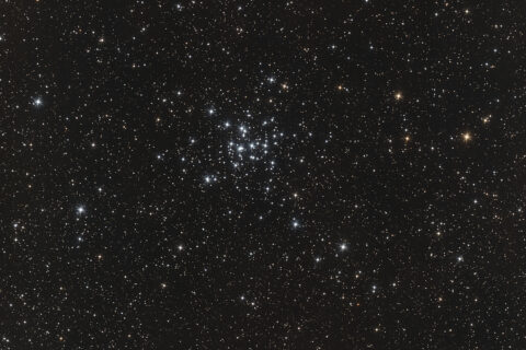 M36 / NGC 1960 Offener Sternhaufen