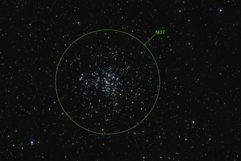 M37 (NGC 2099) Offener Sternhaufen