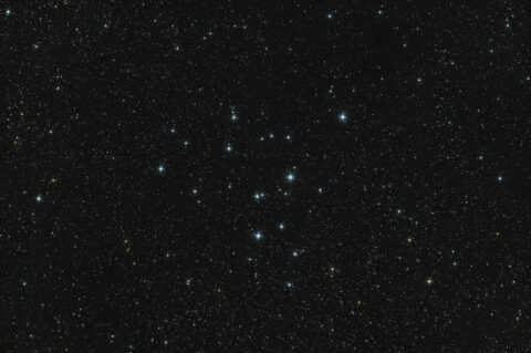 M39 (NGC 7092) Offener Sternhaufen