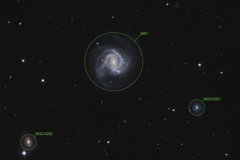 M61 (NGC 4303) Spiralgalaxis