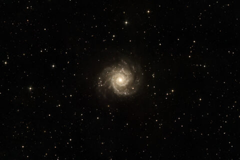 M74 / NGC 628