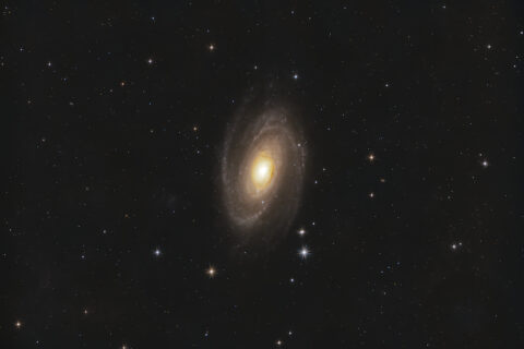 M81 Bodes Galaxie