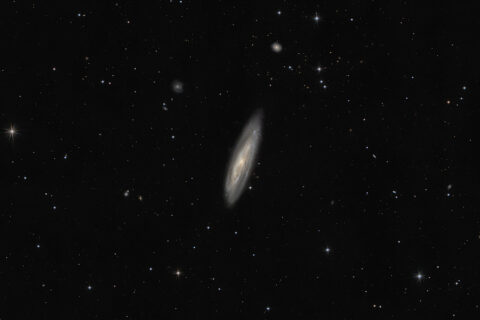 M98 (NGC 4192) Spiralgalaxie