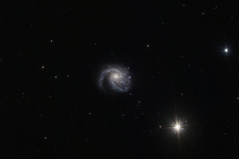 M99 (NGC 4254)