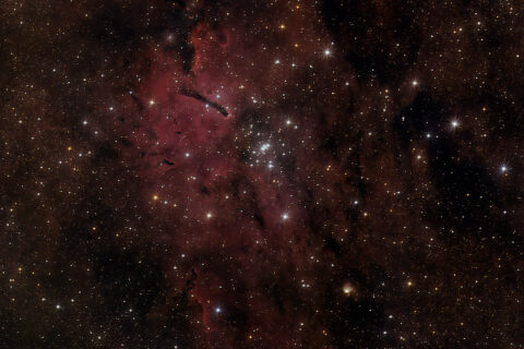 NGC 6823 Offener Sternhaufen