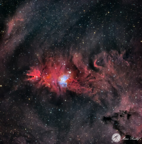 NGC 2264 Weihnachtsbaumsternhaufen