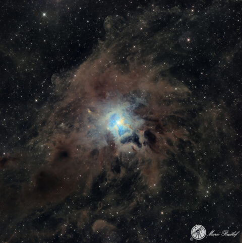 NGC 7023, Irisnebel im Sternbild Kepheus
